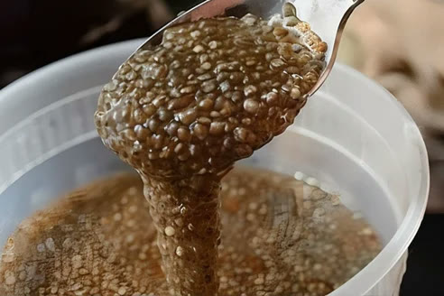 Cuchara con semillas de chía hidratadas formando un gel